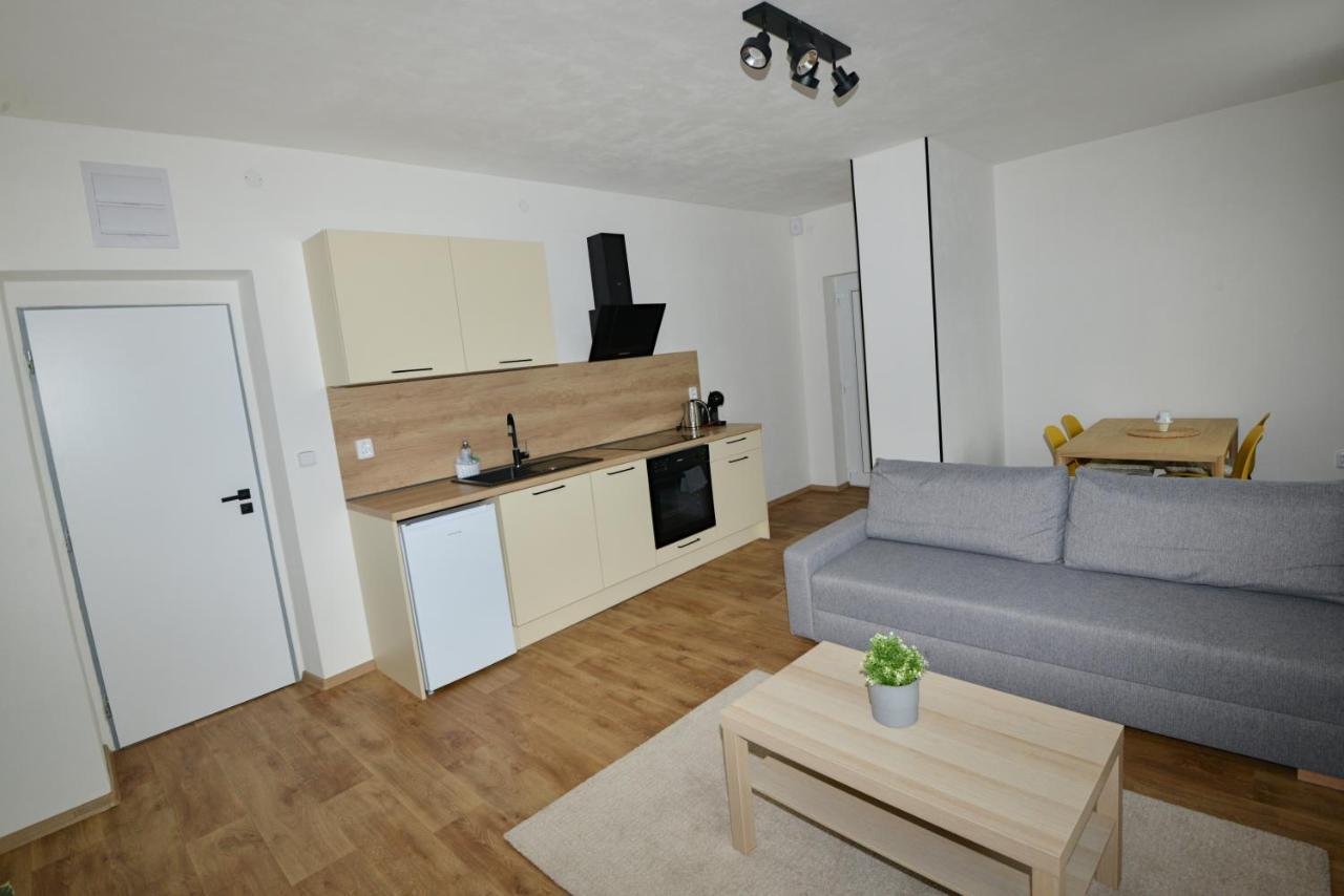 Apartmany U Peslu Železná Ruda 외부 사진