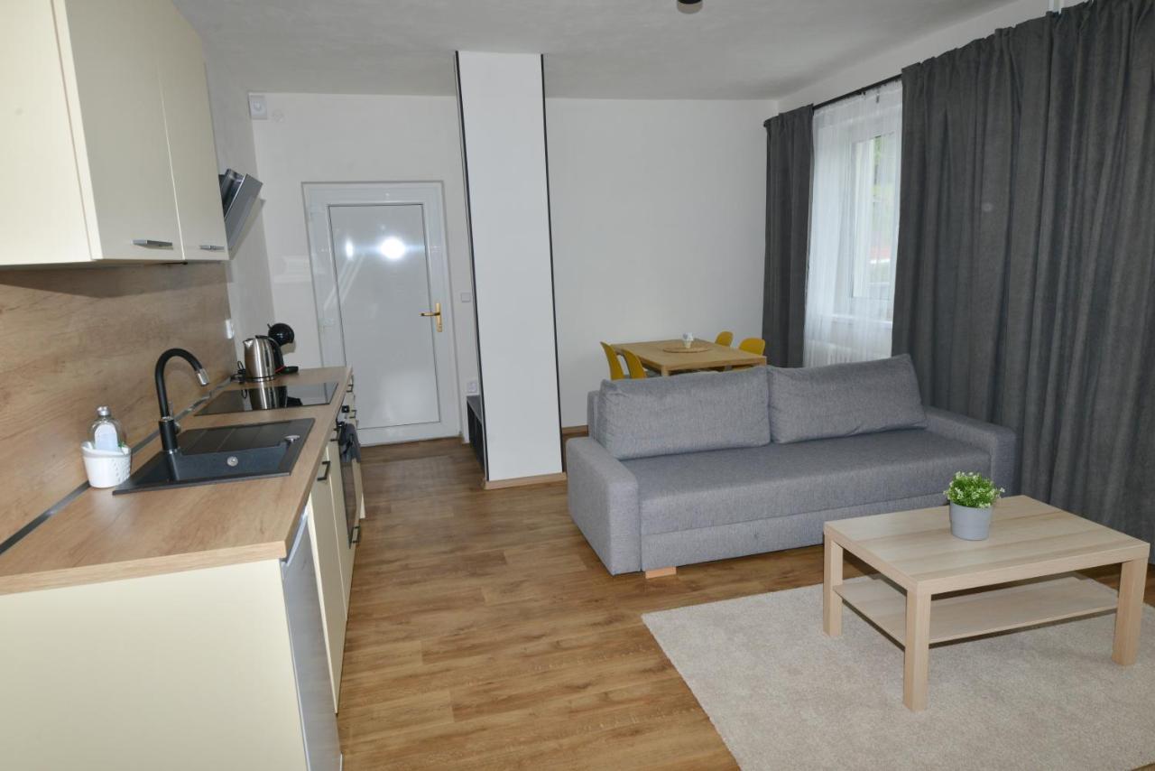 Apartmany U Peslu Železná Ruda 외부 사진